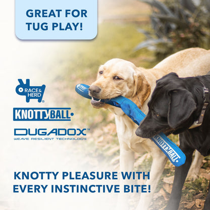 Knotty Ball Snuffle Ball for Dogs