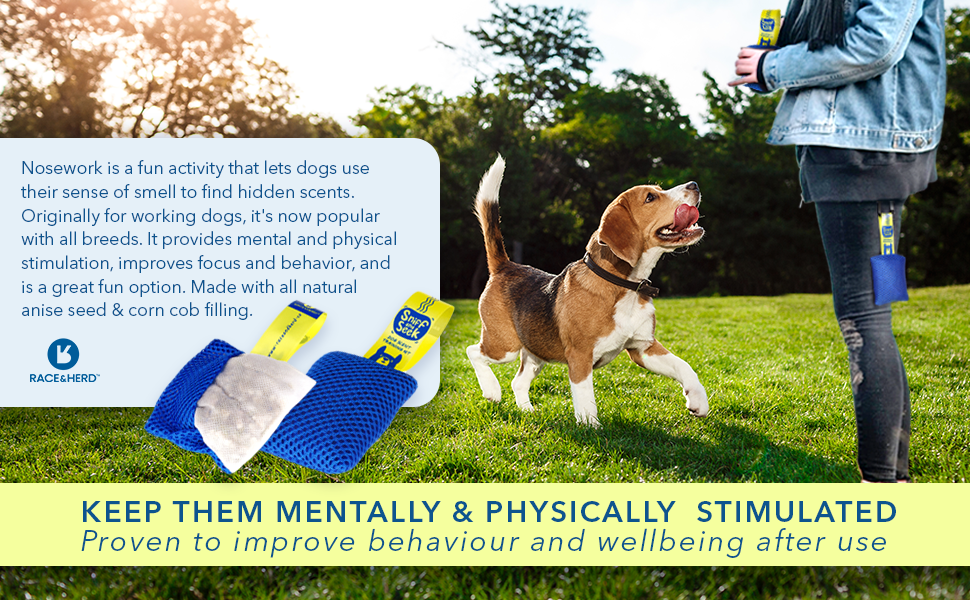 Sniff and Seek Dog Scent Training Kit