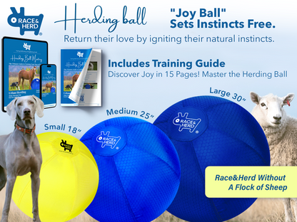 Large Herding Ball for Dogs