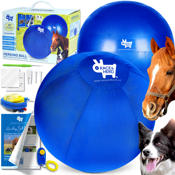 Best Herding Ball Herding Ball for Dogs 25 Set Race and Herd