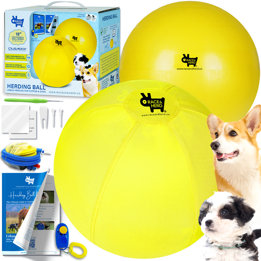 Herding Ball for Dogs (Small & Puppy) - 18" Set