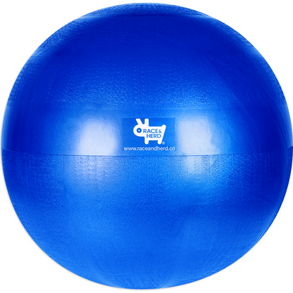 Durable Dog Toy Herding Ball for Dogs Race and Herd