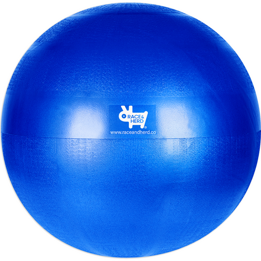 Herding Ball for Dogs Large & Medium - 25" Replacement Inner Ball