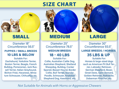 30" Herding Ball for Dogs and Horses | Large