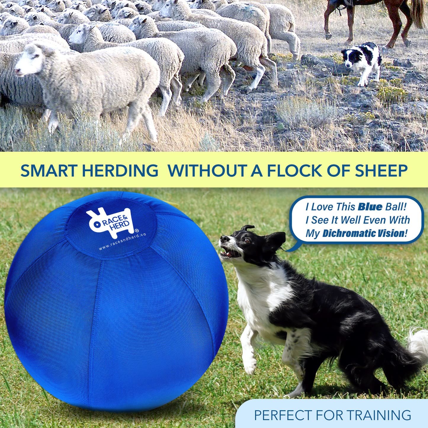 Herding ball outlet