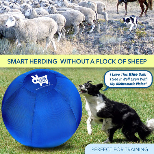 Race&Herd Herding Ball for Dogs (25") - Large, Medium Dog & Horses