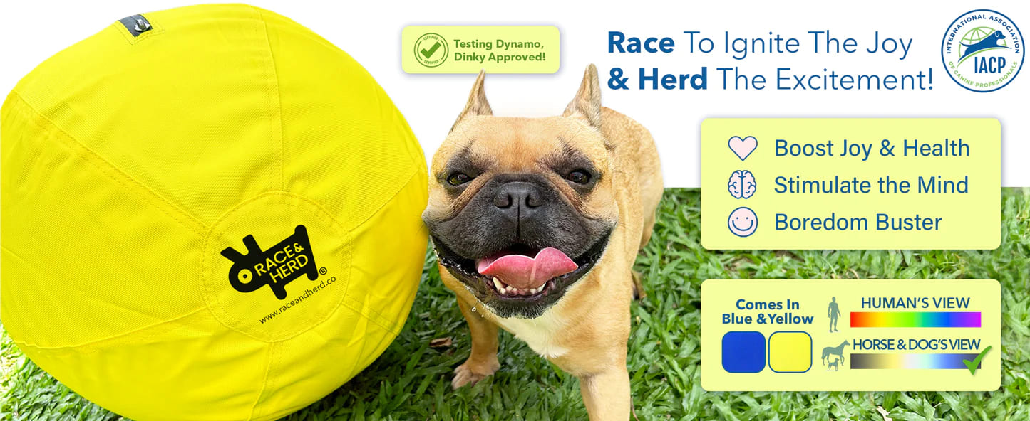 Race&Herd Herding Ball for Dogs Blue Heelers, Horse Ball & Ball Cover - 25  Ball Large with Air Pump | for Play Hurding Ball | Hearding Ball Toys for