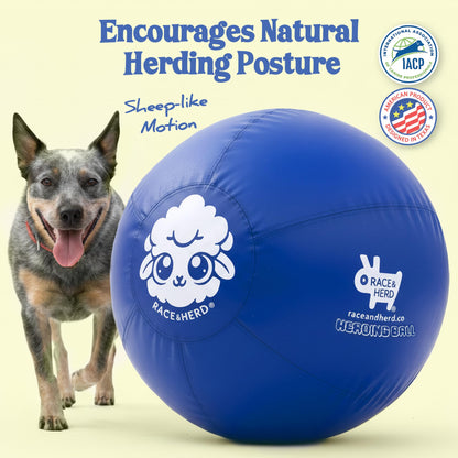 25" Herding Ball for Dogs | Medium
