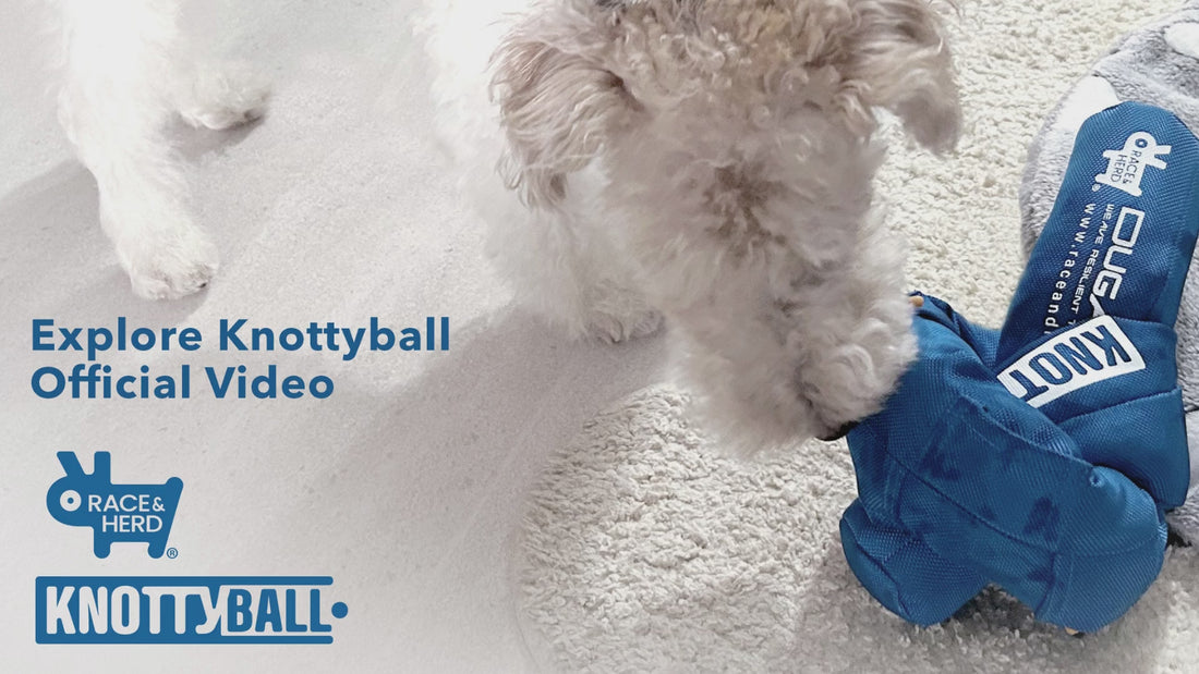 Knotty Ball Snuffle Ball for Dogs