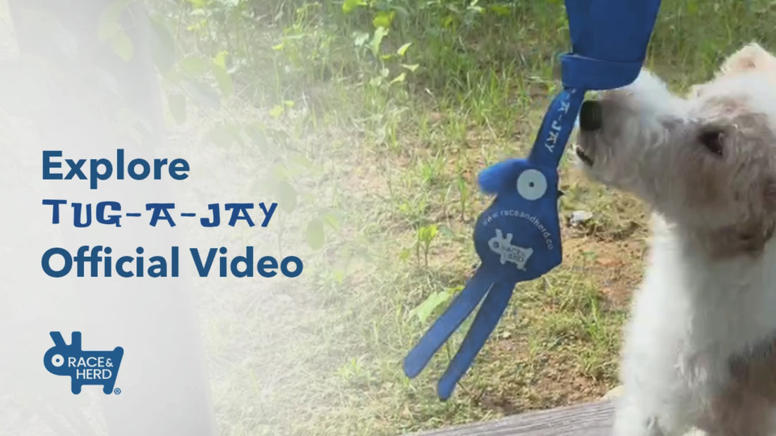 Tug-A-Jay Tree Tugger Rope Dog Toy